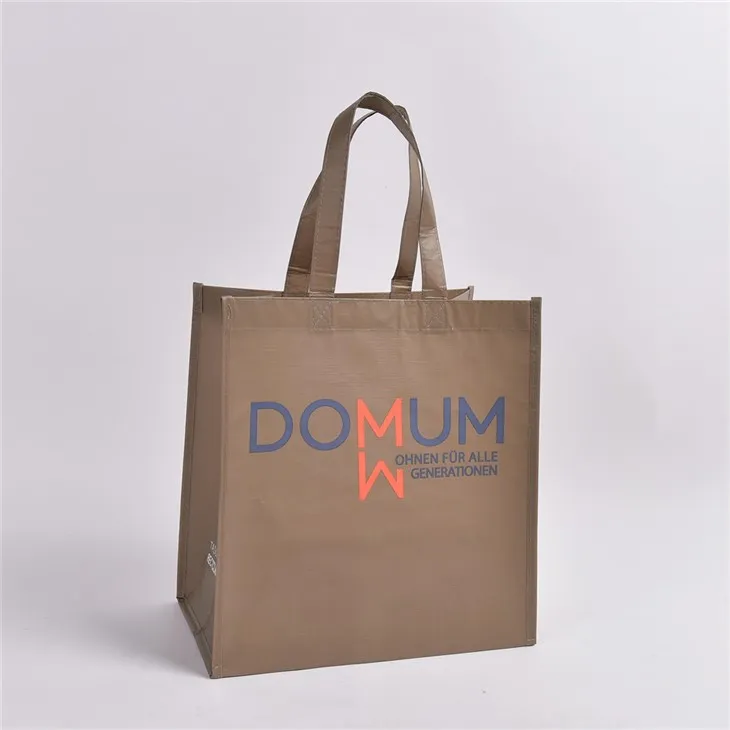 Málaí siopadóireachta ath -inúsáidte RPET